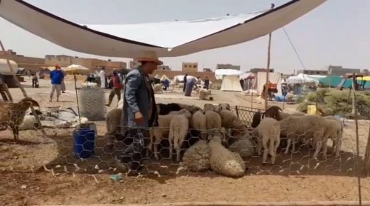 الرشيدية.. سوق الأضاحي 2021