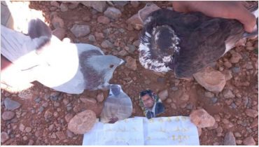 مظاهر الشعودة والسحر تعود مجدداً الى الواجهة بكلميمة