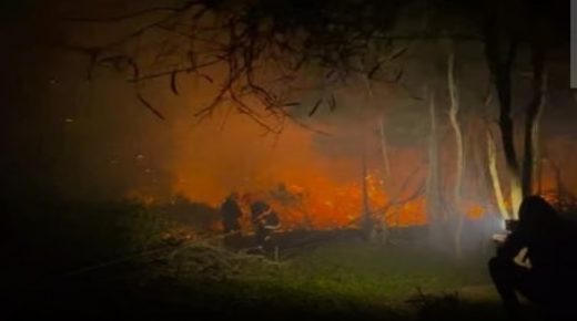 حريق مهول بغابة مديونة في طنجة ليلة الجمعة
