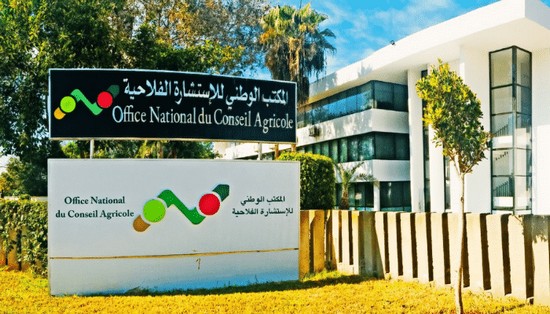مائدة مستديرة بالرشيدية حول المشاريع التضامنية