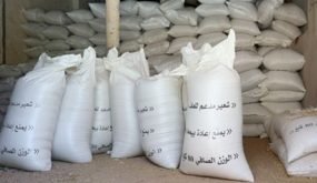 يهم الكسابة مربي المواشي .. الشعير المدعم بسعر تفضيلي في حدود 200 درهم للقنطار الواحد