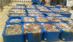 الصادرات السمكية تحقق معاملات بقيمة تفوق 24 مليار خلال سنة 2021