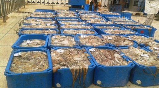الصادرات السمكية تحقق معاملات بقيمة تفوق 24 مليار خلال سنة 2021