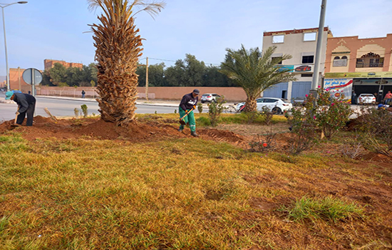 جماعة الرشيدية ترد على بعض الملاحظات المتعلقة بالمجال الأخضر