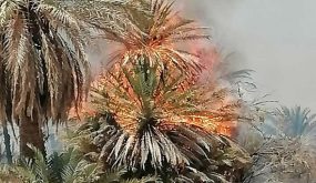 واحة اللحاين نواحي أرفود حرائق خطيرة تلتهم النخيل والأشجار - الرشيدية 24