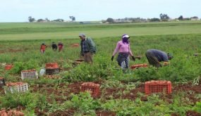 لقاء تكويني حول تحديد أفكار مشاريع المقاولات الفلاحية بورزازات