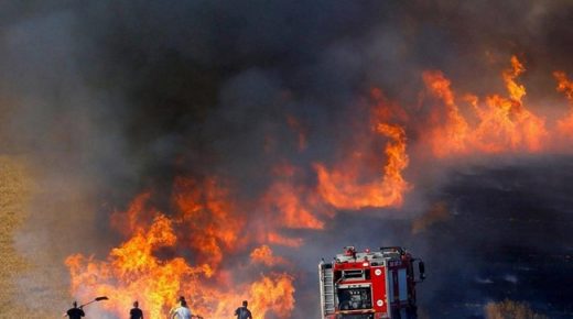 الجزائر.. تسجيل 118 حريقا خلال 24 ساعة