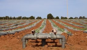 ورزازات .. مجهودات لتدبير مياه الري