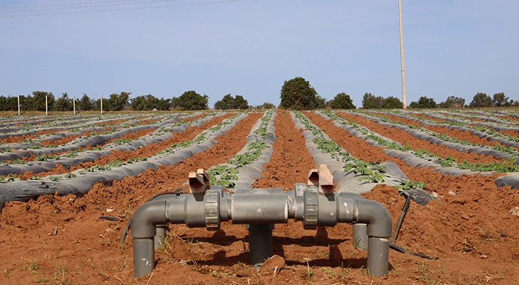 ورزازات .. مجهودات لتدبير مياه الري