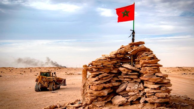 المغرب يعتزم إطلاق مشروع زراعي في الصحراء المغربية