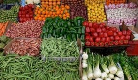 ارتفاع صادرات البواكر خلال الموسم 2021- 2022