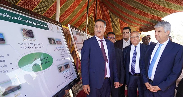 إقليم زاكورة : صديقي يقوم بزيارة مشاريع للتنمية الفلاحية