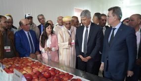 صديقي يتفقد مشاريع التنمية الفلاحية والقروية بإقليم تنغير