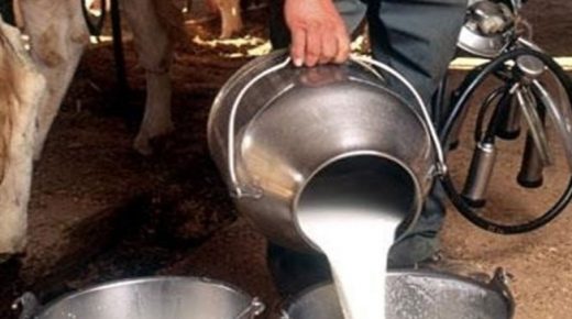 وزير الفلاحة يوضح أسباب نقص مادة الحليب بالأسواق المغربية