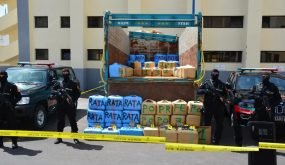 حجز طن من المخدرات وتوقيف شخصين