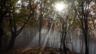 درجات الحرارة الدنيا والعليا المرتقبة اليوم الإثنين