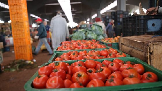 ارتفاع أسعار المواد الغذائية بالأسواق