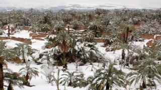 طقس بارد وصقيع اليوم الأربعاء بعدد من مناطق المملكة