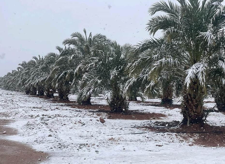 الأرصاد تنذر بتساقطات ثلجية وأمطار قوية بهذه المناطق