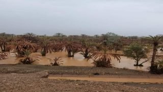 خبير.. الأمطار الرعدية المسجلة بمدن الجنوب الشرقي ستجنب الساكنة شبح العطش