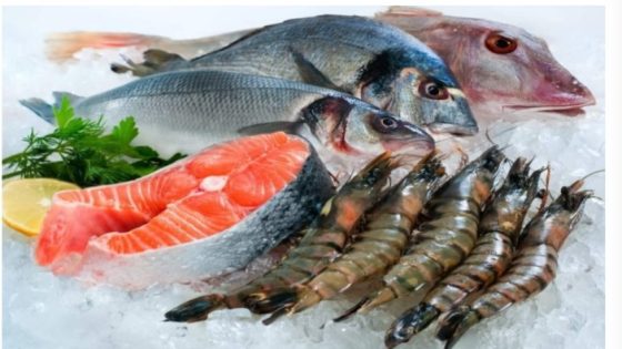 28 مليار درهم هي قيمة صادرات المغرب من منتجات الصيد البحري