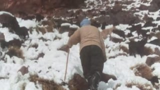 إقليم زاكورة.. إيصال مواد غذائية وعلف الماشية لرحل محاصرين في جبال صاغرو