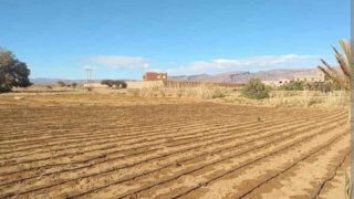 زاكورة .. المنظمة الديمقراطية لصغار الفلاحين تصدر بيانا