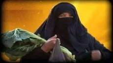 الوركية نبتة غذائية غنية بالفيتامينات يتميز بها الجنوب الشرقي