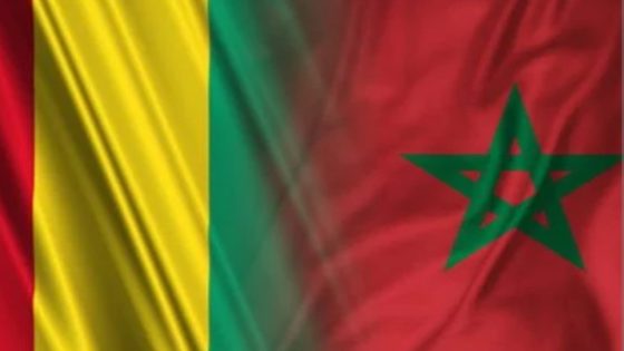 غينيا تشيد بالجهود المتواصلة للمغرب تحت القيادة المستنيرة لجلالة الملك من أجل السلام والتنمية في إفريقيا