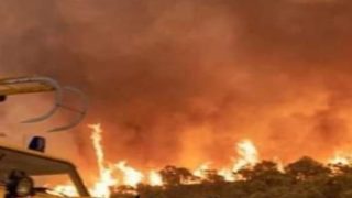 حريق مهول بغابة أسكا بإقليم ميدلت