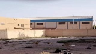 ميدلت ..تنامي ظاهرة انتشار الكلاب الضالة وجمعيات تدخل على الخط