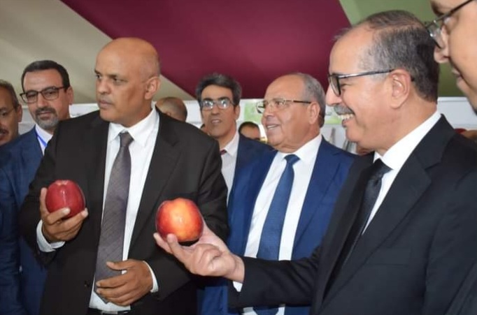 ميدلت.. الكاتب العام لقطاع الفلاحةيفتتح الملتقى الوطني للتفاح