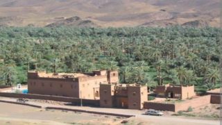 الرشيدية .. تنظيم النسخة الأولى من الملتقى العلمي الدولي حول الواحات