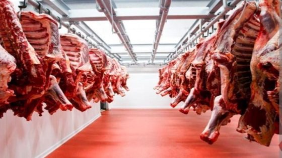 أسعار اللحوم الحمراء في ارتفاع مستمر مع انتهاء شهر رمضان