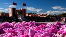 ملتقى قلعة مكونة للورود .. ماذا يخافه المنظمون من الإعلام الجهوي ليتم إقصائه من تغطية الحدث؟