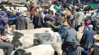 حين يصبح رؤساء جماعات “شناقة” مع اقتراب عيد الأضحى