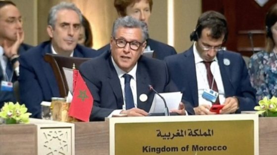 أخنوش يؤكد أن المغرب بقيادة جلالة الملك يجدد دعمه للمبادرات والمقترحات الهادفة إلى وقف إطلاق نار دائم في غزة