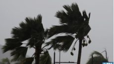 نشرة إنذارية .. هبات رياح قوية مع تطاير الغبار يومي الجمعة والسبت بعدد من أقاليم المملكة