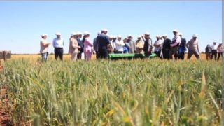 حزب الكتاب يحذر من قرار التخلي عن الفلاحة المعيشية