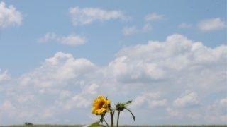 توقعات أحوال الطقس ليوم الجمعة