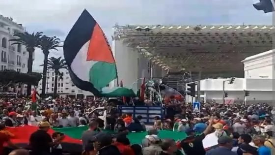 الرباط .. مظاهرة حاشدة في الرباط تضامناً مع غزة تدعو لإنهاء الحصار