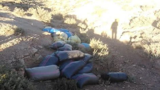 ميدلت ..  إحباط عملية تهريب كمية مهمة من إكليل الجبل بمنطقة تيزي نتلغمت