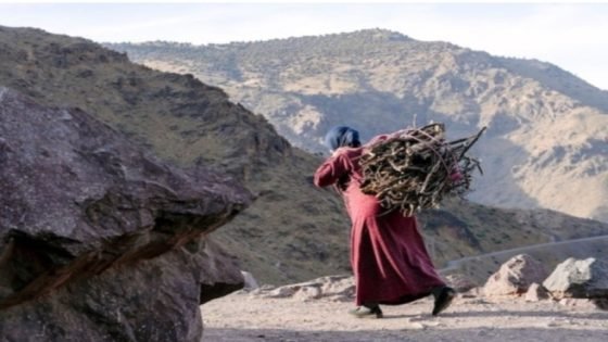مطالب بتخصيص 15% من الاستثمارات للمناطق الجبلية ضمن ميزانية 2026