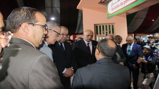 انطلاق فعاليات الملتقى الوطني للتفاح بميدلت. في نسخته الخامسة
