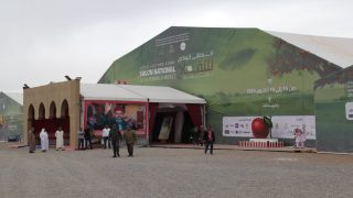 ميدلت تحتفي بتفاحها في ملتقى وطني يعزز التنمية المحلية