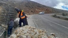 تنغير .. انقلاب شاحنة محمّلة بالدواجن بمنعرج تيزي نبوجو ومطالب بتغيير مسار الطريق