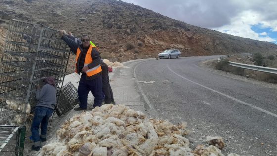 تنغير .. انقلاب شاحنة محمّلة بالدواجن بمنعرج تيزي نبوجو ومطالب بتغيير مسار الطريق