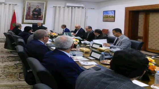 الرشيدية .. مجلس إدارة الشركة الجهوية متعددة الخدمات درعة–تافيلالت يعتمد ميزانية 2026 والمخطط التنموي الخماسي