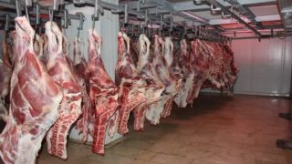 لماذا لن تعود أسعار اللحوم إلى 70 درهما؟.. قراءة في تصريحات رياض مزور وخلفيات الغلاء