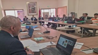 استنفار صحي بدرعة تافيلالت.. تنغير تجمع المتدخلين لإطلاق خطة جديدة ضد الليشمانيا